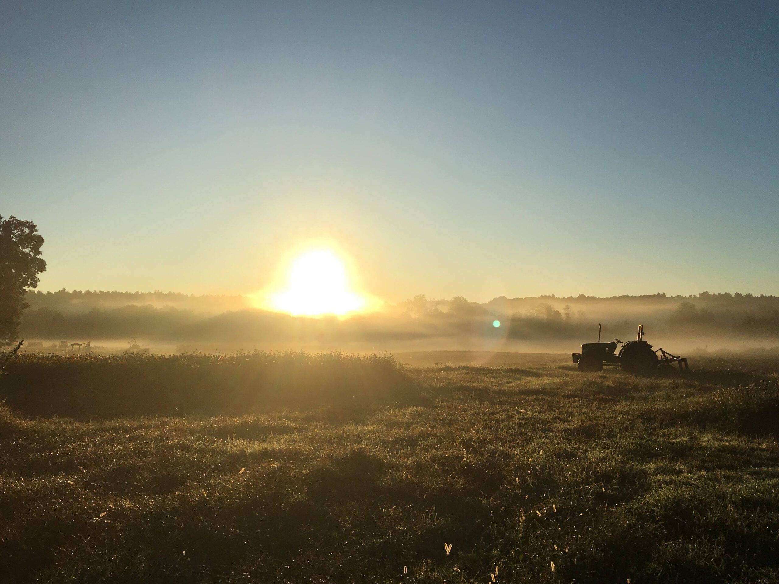 Lincoln Dusk Credit Alex Ode (1)
